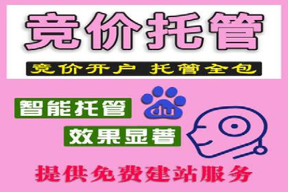案例解析：百度推广代理助力企业转型